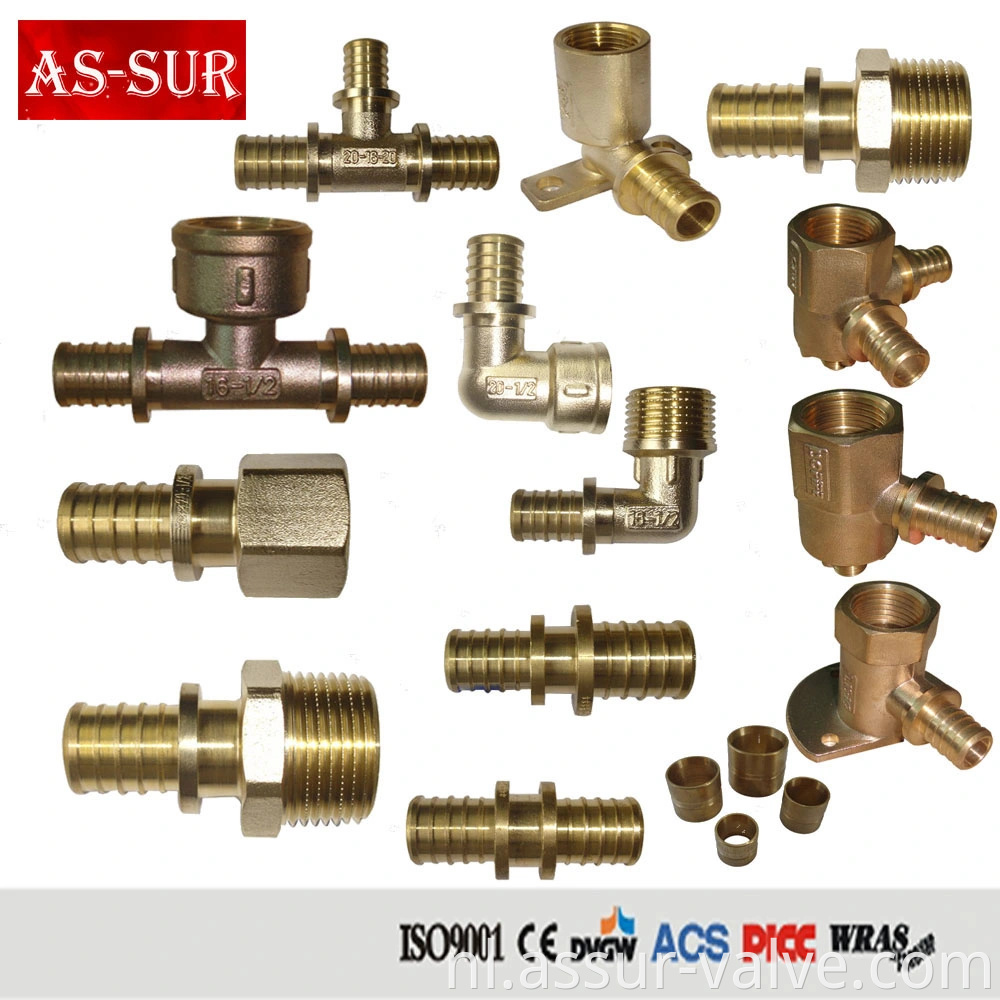 PPR Voeg messing buisfitting PVC -buisaanpassing in